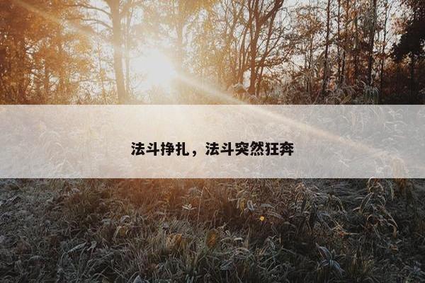 法斗挣扎，法斗突然狂奔