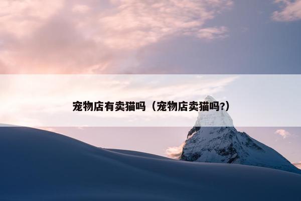 宠物店有卖猫吗（宠物店卖猫吗?）