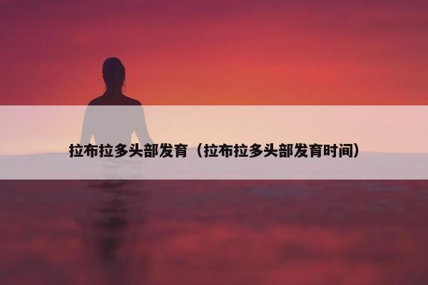 拉布拉多头部发育（拉布拉多头部发育时间）