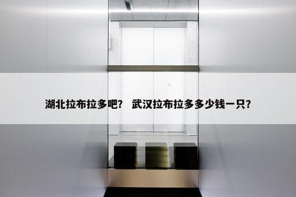 湖北拉布拉多吧？ 武汉拉布拉多多少钱一只？