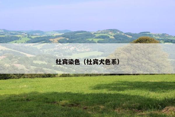 杜宾染色（杜宾犬色系）