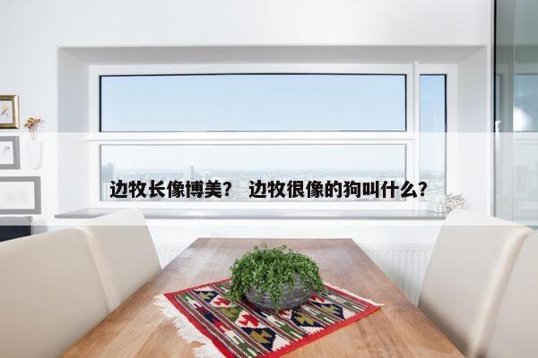 边牧长像博美？ 边牧很像的狗叫什么？