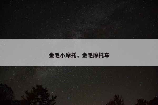 金毛小摩托，金毛摩托车
