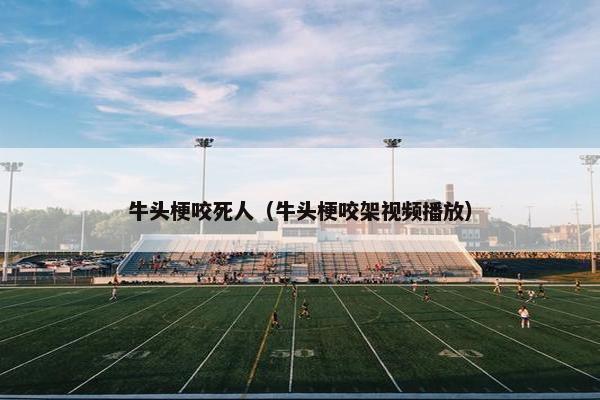 牛头梗咬死人（牛头梗咬架视频播放）