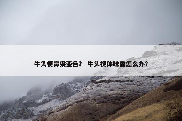 牛头梗鼻梁变色？ 牛头梗体味重怎么办？