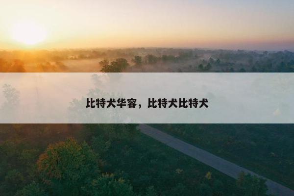 比特犬华容，比特犬比特犬