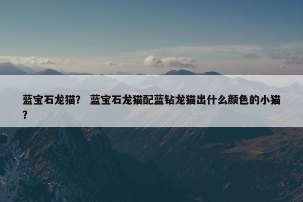蓝宝石龙猫？ 蓝宝石龙猫配蓝钻龙猫出什么颜色的小猫？