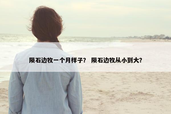 陨石边牧一个月样子？ 陨石边牧从小到大？