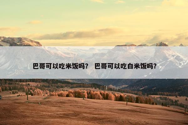 巴哥可以吃米饭吗？ 巴哥可以吃白米饭吗？