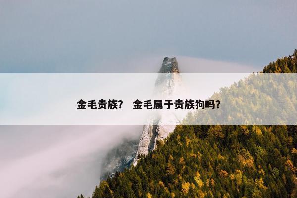 金毛贵族？ 金毛属于贵族狗吗？