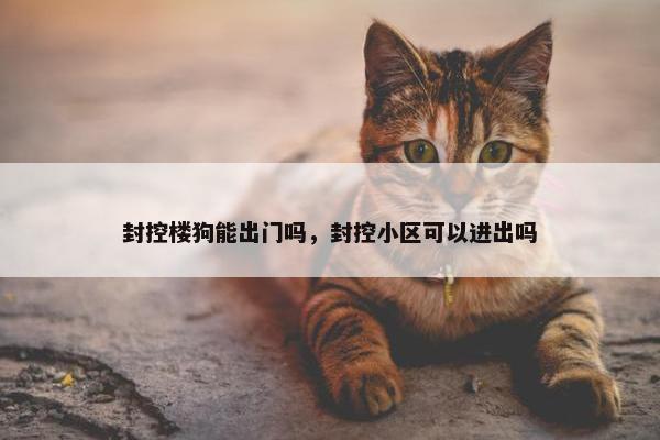 封控楼狗能出门吗，封控小区可以进出吗