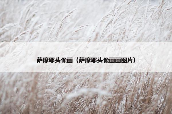 萨摩耶头像画（萨摩耶头像画画图片）