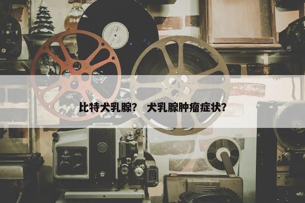 比特犬乳腺？ 犬乳腺肿瘤症状？