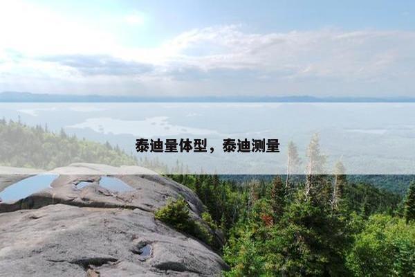 泰迪量体型，泰迪测量