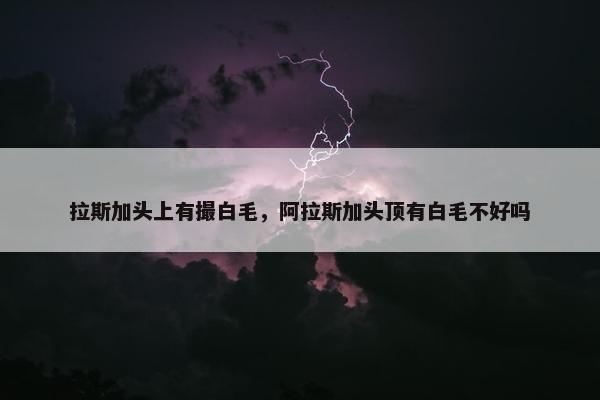 拉斯加头上有撮白毛，阿拉斯加头顶有白毛不好吗