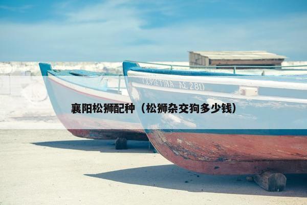 襄阳松狮配种（松狮杂交狗多少钱）