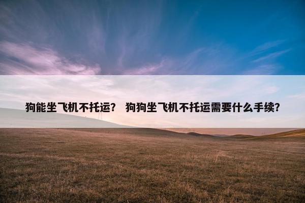 狗能坐飞机不托运？ 狗狗坐飞机不托运需要什么手续？