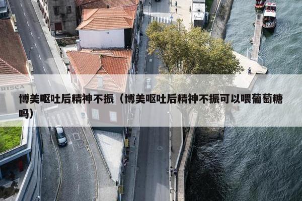 博美呕吐后精神不振（博美呕吐后精神不振可以喂葡萄糖吗）