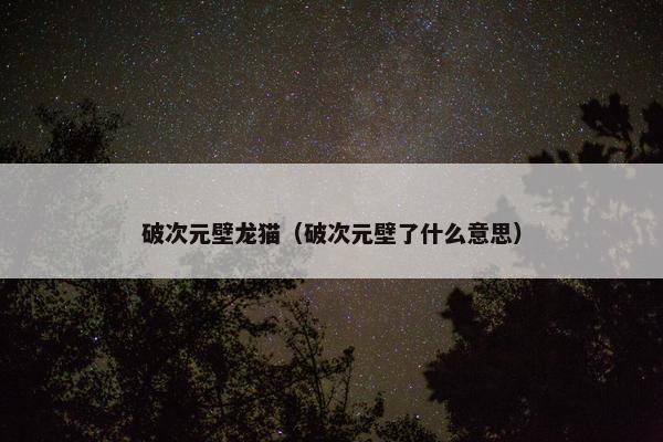 破次元壁龙猫（破次元壁了什么意思）