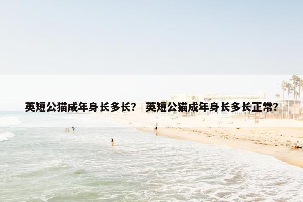 英短公猫成年身长多长？ 英短公猫成年身长多长正常？