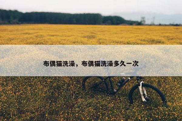 布偶猫洗澡，布偶猫洗澡多久一次