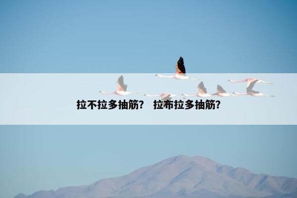 拉不拉多抽筋？ 拉布拉多抽筋？