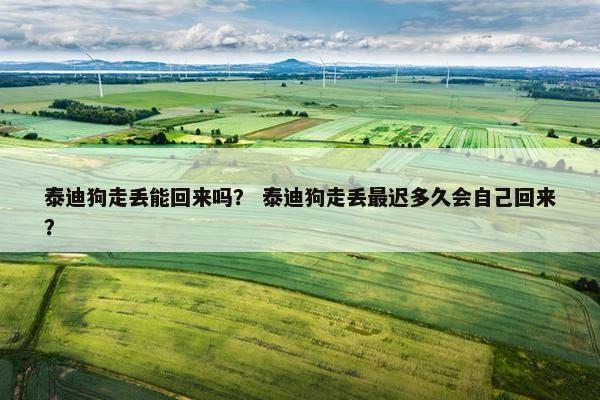 泰迪狗走丢能回来吗？ 泰迪狗走丢最迟多久会自己回来？