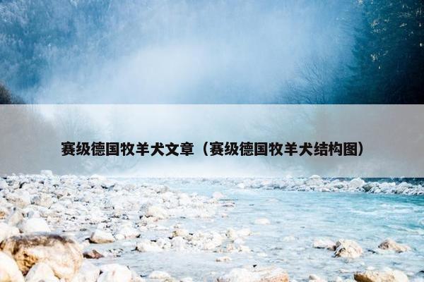 赛级德国牧羊犬文章（赛级德国牧羊犬结构图）