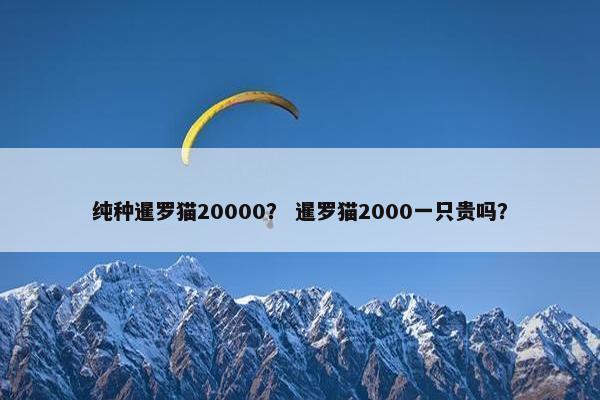 纯种暹罗猫20000？ 暹罗猫2000一只贵吗？