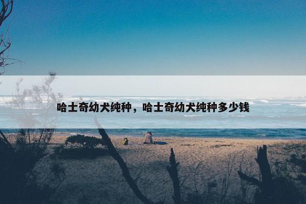 哈士奇幼犬纯种，哈士奇幼犬纯种多少钱