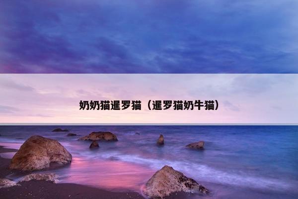 奶奶猫暹罗猫（暹罗猫奶牛猫）