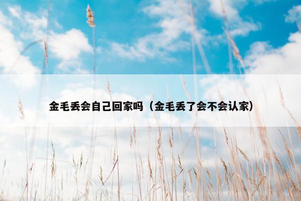 金毛丢会自己回家吗（金毛丢了会不会认家）