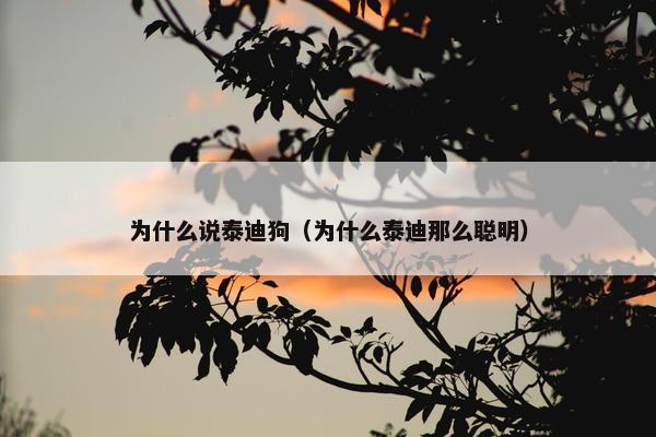 为什么说泰迪狗（为什么泰迪那么聪明）