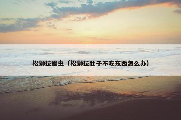 松狮拉蛔虫（松狮拉肚子不吃东西怎么办）
