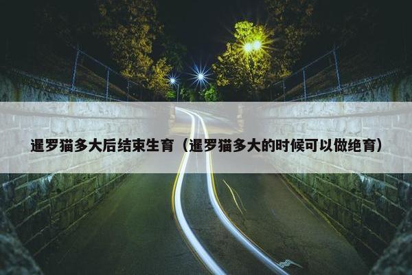 暹罗猫多大后结束生育（暹罗猫多大的时候可以做绝育）