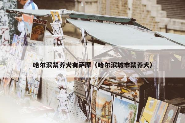 哈尔滨禁养犬有萨摩（哈尔滨城市禁养犬）