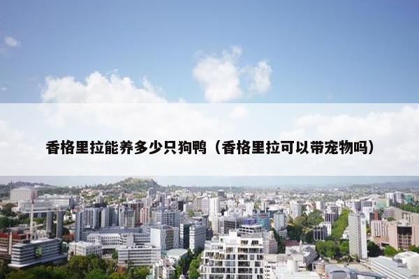 香格里拉能养多少只狗鸭（香格里拉可以带宠物吗）