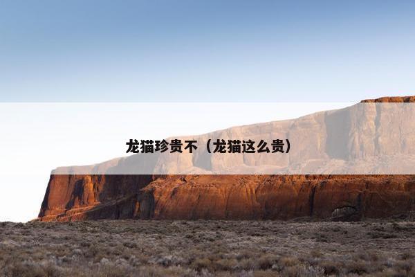 龙猫珍贵不（龙猫这么贵）
