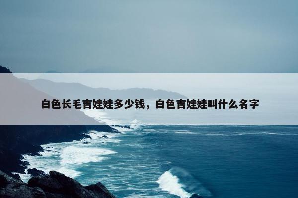白色长毛吉娃娃多少钱，白色吉娃娃叫什么名字