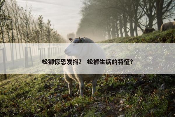 松狮惊恐发抖？ 松狮生病的特征？