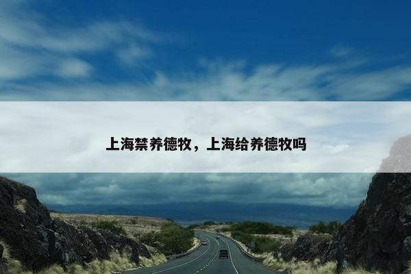 上海禁养德牧，上海给养德牧吗