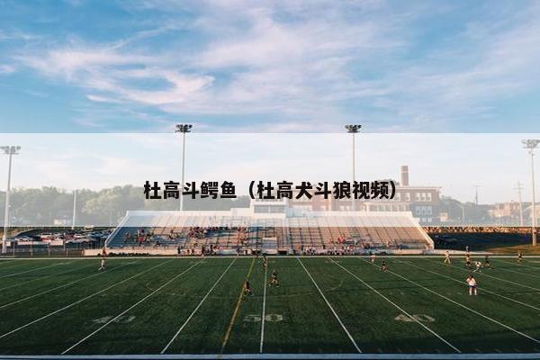 杜高斗鳄鱼（杜高犬斗狼视频）