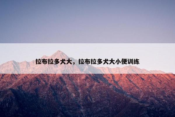 拉布拉多犬大，拉布拉多犬大小便训练