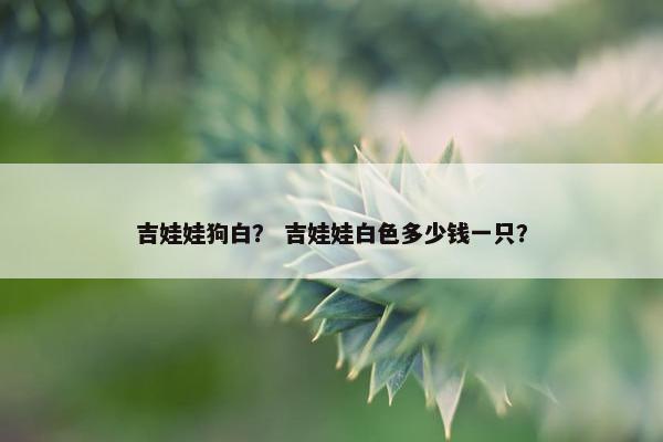 吉娃娃狗白？ 吉娃娃白色多少钱一只？