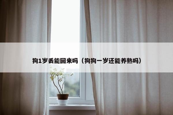 狗1岁丢能回来吗（狗狗一岁还能养熟吗）