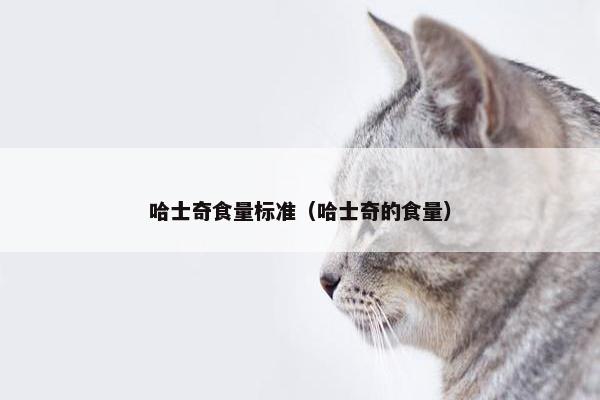 哈士奇食量标准（哈士奇的食量）