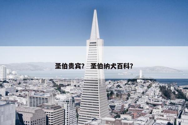 圣伯贵宾？ 圣伯纳犬百科？