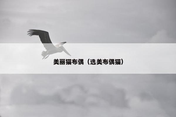 美丽猫布偶（选美布偶猫）