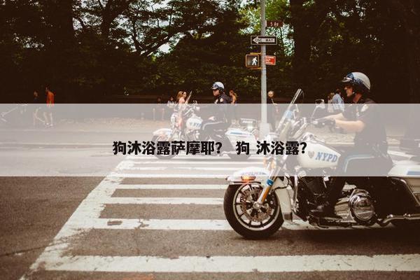 狗沐浴露萨摩耶？ 狗 沐浴露？