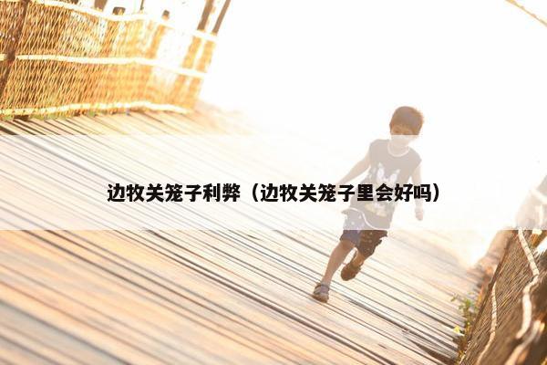 边牧关笼子利弊（边牧关笼子里会好吗）